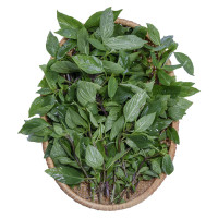 Húng Quế Rau Cười Việt Nhật 100G