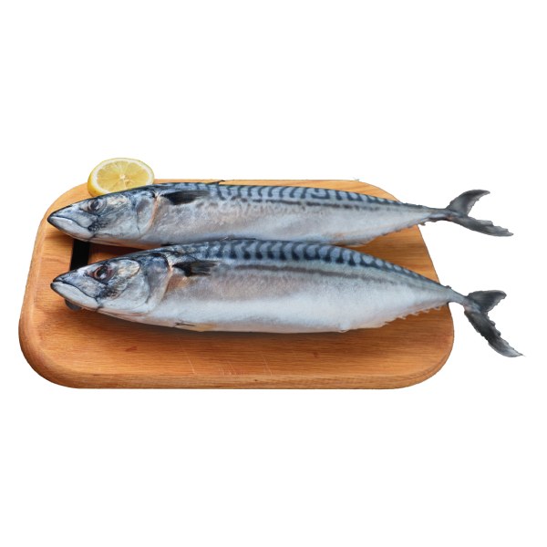 Cá Saba Jumbo Na Uy Nguyên Con Không Làm Sẵn (Kg) ~ Size 400G-600G/Con