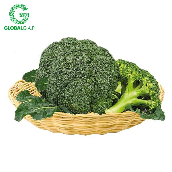 Bông Cải Xanh DALATGAP (Kg)