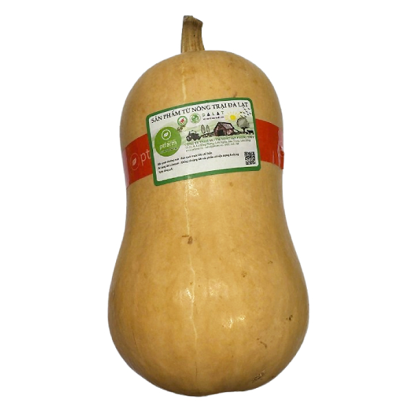 Bí Hạt Đậu VietGAP (Kg)