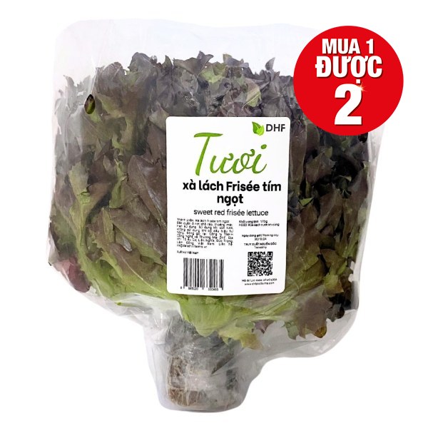 Xà Lách Frisee Tím Ngọt DHF 150G