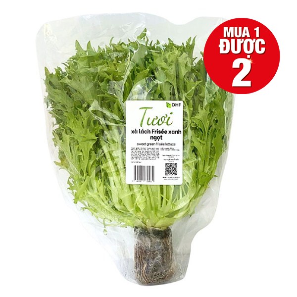 Xà Lách Frisee Xanh Ngọt DHF 190G