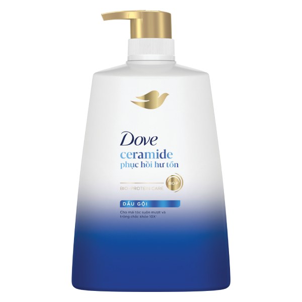 Dầu Gội Dove Phục Hồi Hư Tổn 880G