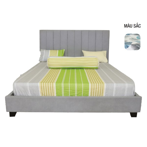 Bộ Drap Cotton Phối Màu Hometex 160*200Cm