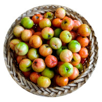 Sơ Ri 500G