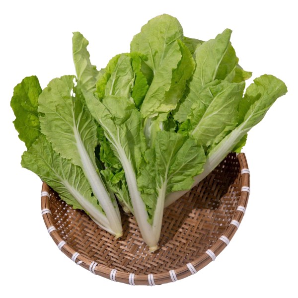 Cải Bẹ Dún Hữu Cơ Danny Green 300G