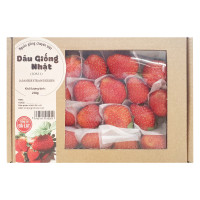 Dâu Giống Nhật Hộp 250G