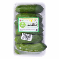 Dưa Leo Baby PT Farm Vỉ 500G