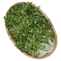 Rau Mầm Cải Trắng 200G