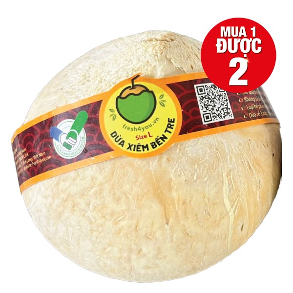 Dừa Xiêm Bến Tre Size L 1 Trái